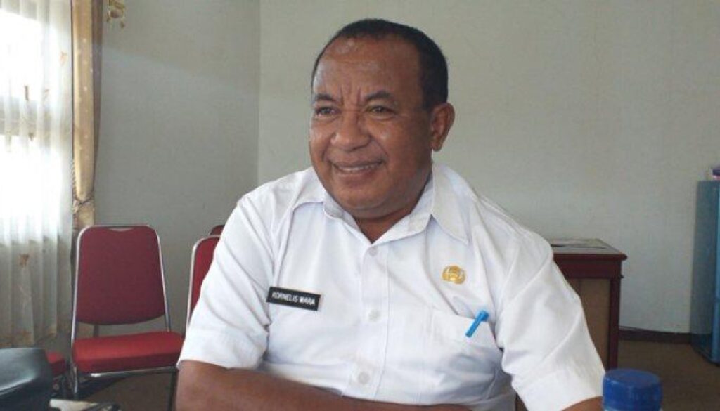 nelis wara