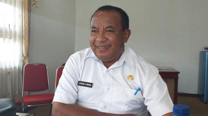 nelis wara
