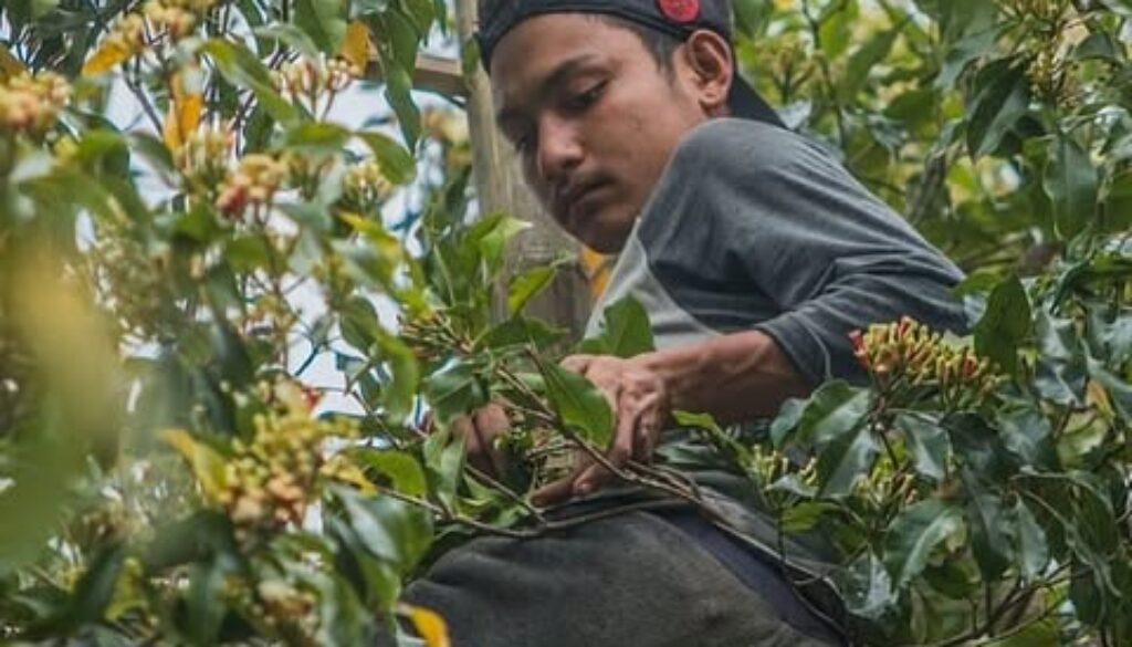 “Hasil Bumi Berlimpah” Petani Tetap Miskin