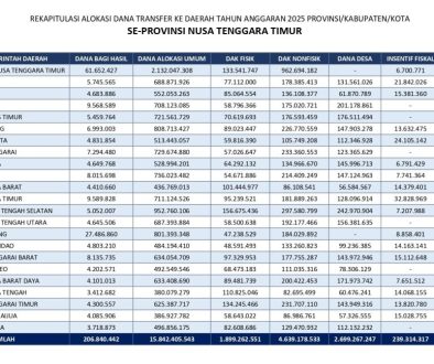 Dampak Pengurangan Anggaran Negara bagi Desa dan Solusi yang Dapat Dilakukan