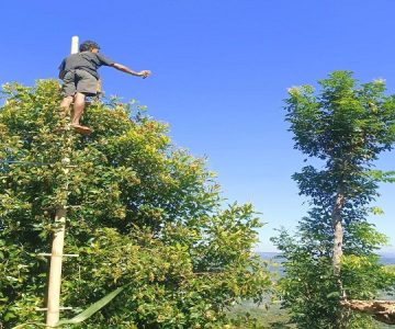 Restu dan Mandat Sudah Diberikan, Kini Saatnya Bupati Nagekeo Membuktikan Janjinya