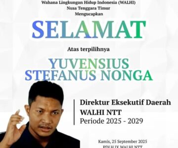 ketua-walhi-ntt-2